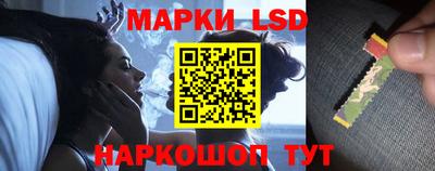 прущие грибы Камышлов