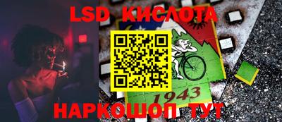 прущие грибы Кандалакша