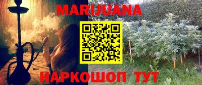 прущие грибы Камышлов
