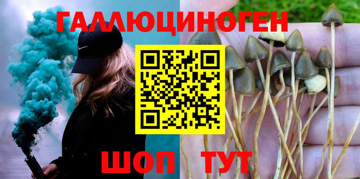 Ярцево  Галлюциногенные грибы Magic Shrooms  Вход с VPN  Псилоцибиновые грибы ЛСД 